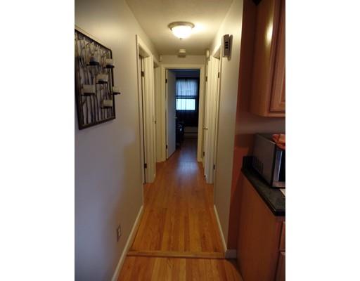 117 Sherwood Rd, Springfield, MA 01119 photo 19