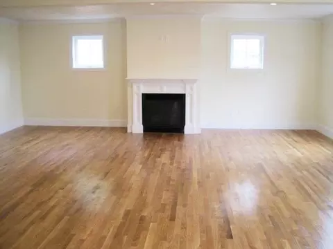 2 Pine Tree Ln, Hyde Park, MA 02136 photo 4