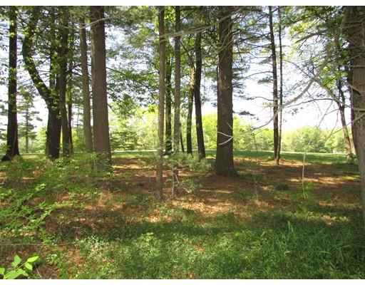141 Baker St, Walpole, MA 02081 photo 19
