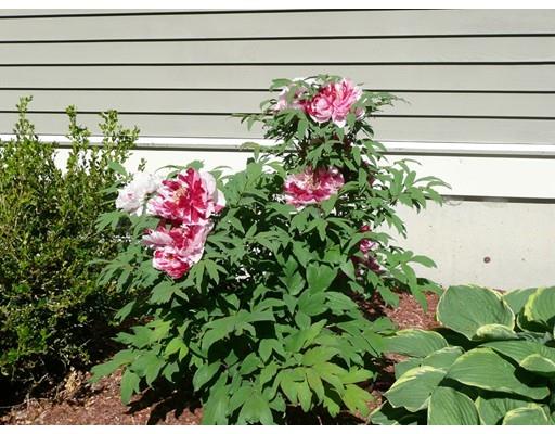 30 Brookside Ave, Lexington, MA 02421 photo 23