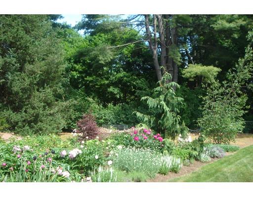 19 Berkeley Rd, Framingham, MA 01701 photo 18