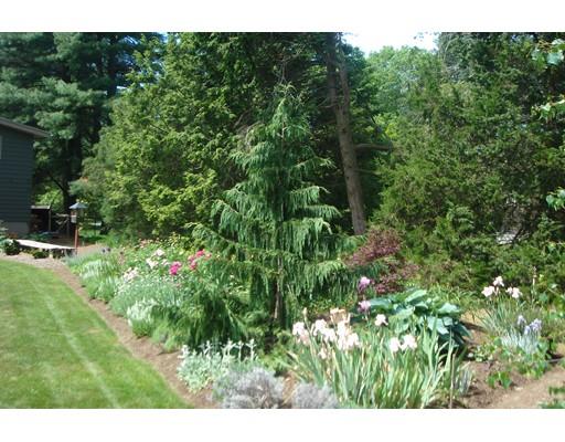 19 Berkeley Rd, Framingham, MA 01701 photo 17