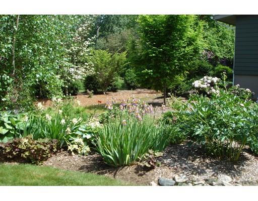 19 Berkeley Rd, Framingham, MA 01701 photo 16