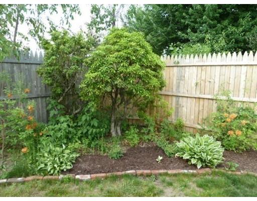 16 Rosella St, Springfield, MA 01118 photo 25