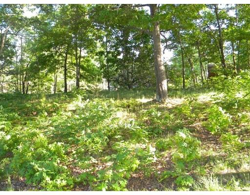 41 Elm Rd, Devens, MA 01434 photo 27