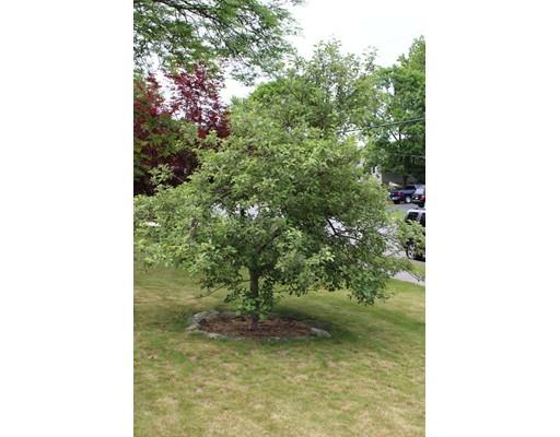 8 Ruthellen Rd, Hudson, MA 01749 photo 21