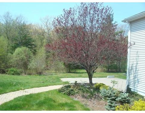 56 Blackstone St, Mendon, MA 01756 photo 22