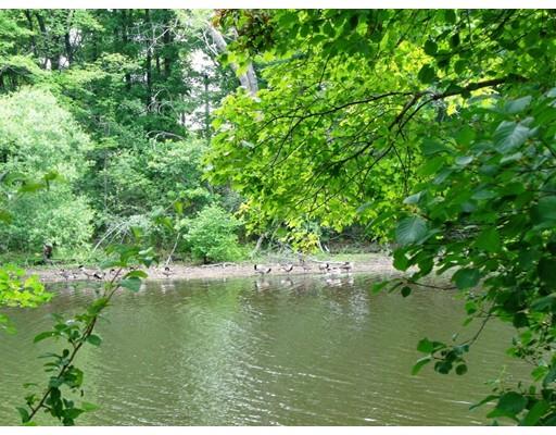106 Riverside Dr, Dedham, MA 02026 photo 18