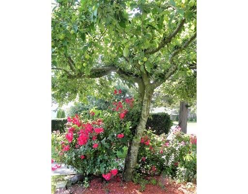 5 Brom Dutcher Rd, Bourne, MA 02532 photo 8