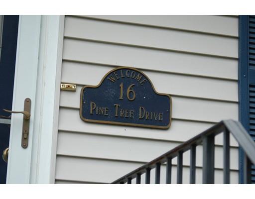 16 Pine Tree Dr, Worcester, MA 01609 photo 1
