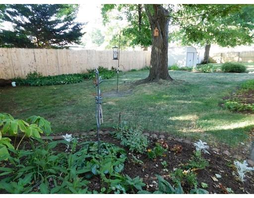 14 Barton St, Springfield, MA 01104 photo 25