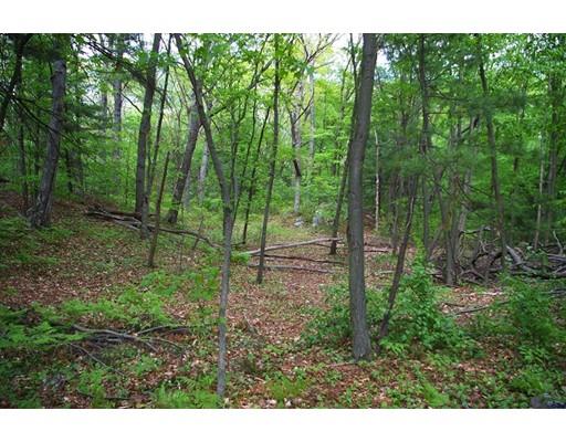 39 Lamoine St, Dedham, MA 02026 photo 3