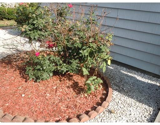 41 Blodgett St, Springfield, MA 01108 photo 19