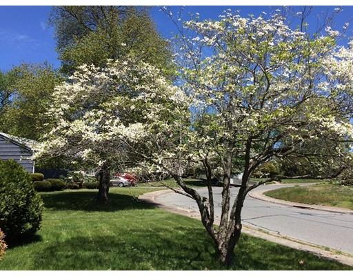 38 Michael Rd, Randolph, MA 02368 photo 22