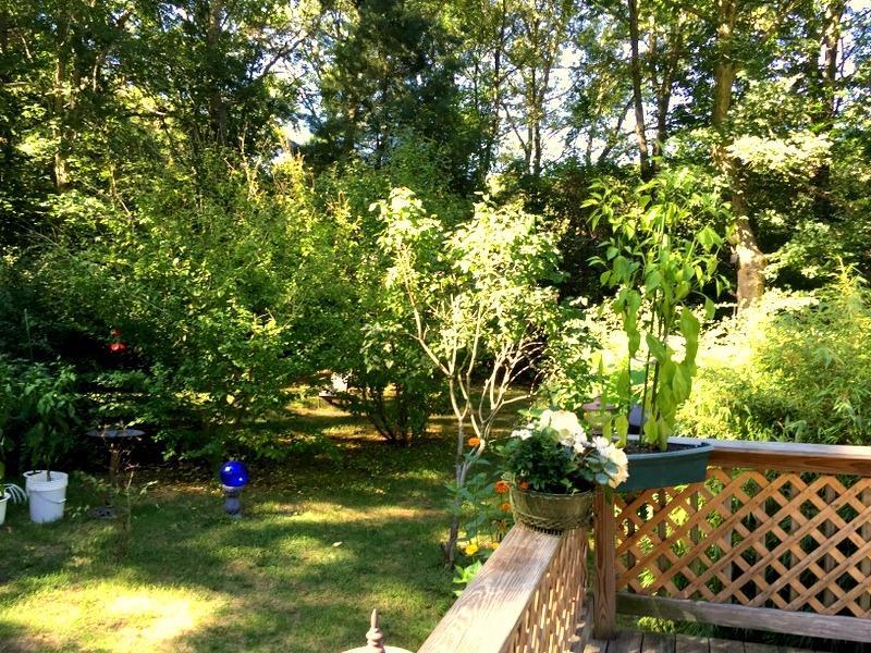 110 Scituate Rd, Mashpee, MA 02649 photo 11