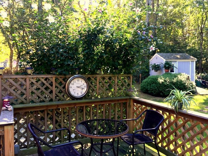 110 Scituate Rd, Mashpee, MA 02649 photo 7