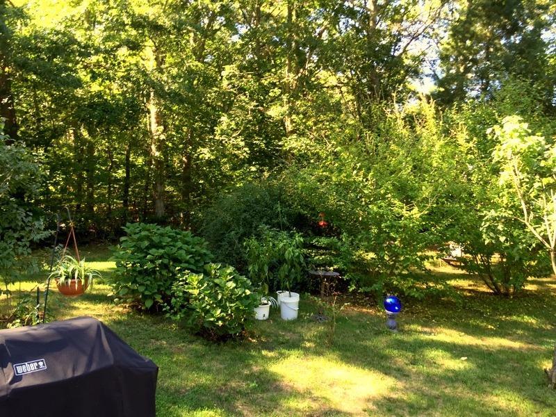 110 Scituate Rd, Mashpee, MA 02649 photo 12