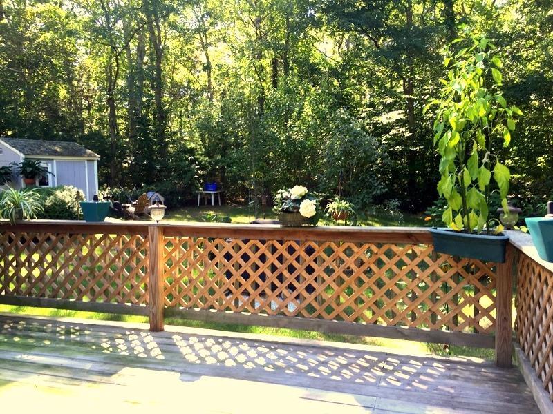110 Scituate Rd, Mashpee, MA 02649 photo 9