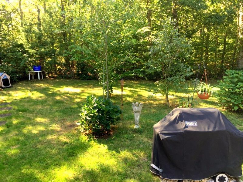 110 Scituate Rd, Mashpee, MA 02649 photo 10