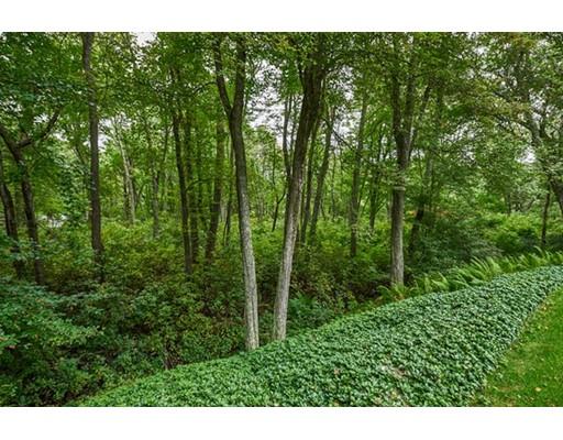 15 Ledgewood Dr, Dover, MA 02030 photo 26