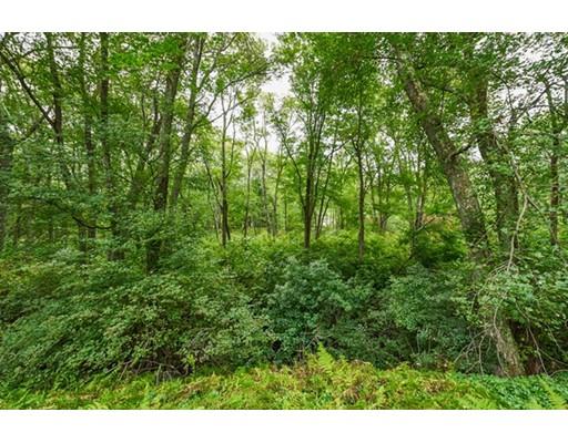 15 Ledgewood Dr, Dover, MA 02030 photo 27
