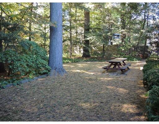125 Meadowbrook Rd, Needham, MA 02492 photo 24