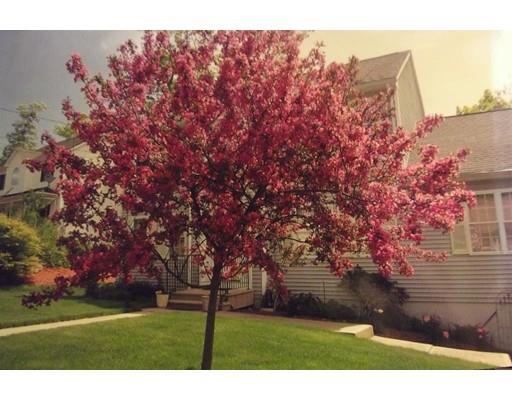 51 Camile Rd, Webster, MA 01570 photo 18