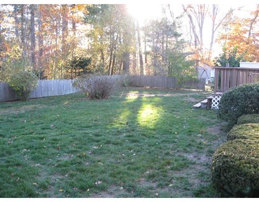 141 Westbrook Dr, Springfield, MA 01129 photo 6