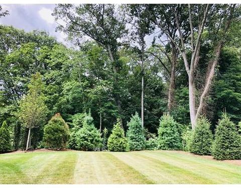 16 Mountview Rd, Wellesley, MA 02481 photo 29