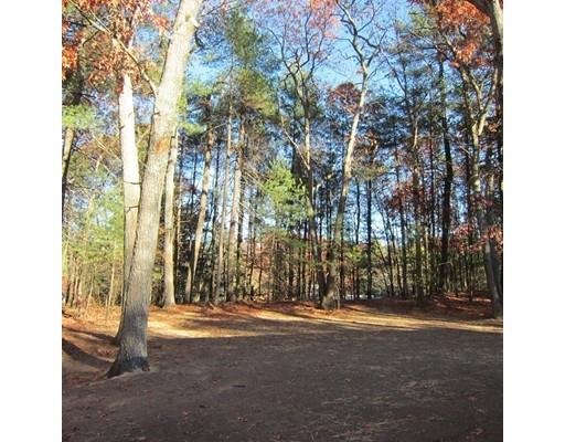 15 Forest Rd, Acton, MA 01720 photo 16