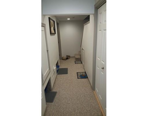118 Redlands St, Springfield, MA 01104 photo 13
