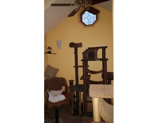 118 Redlands St, Springfield, MA 01104 photo 9