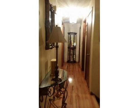 178 Lamont St, Springfield, MA 01119 photo 6