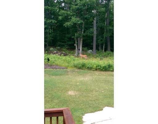 11 Cobblestone Rd, Pelham, NH 03076 photo 30