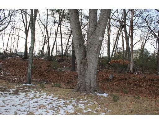 117 Blithewood Ave, Worcester, MA 01604 photo 7