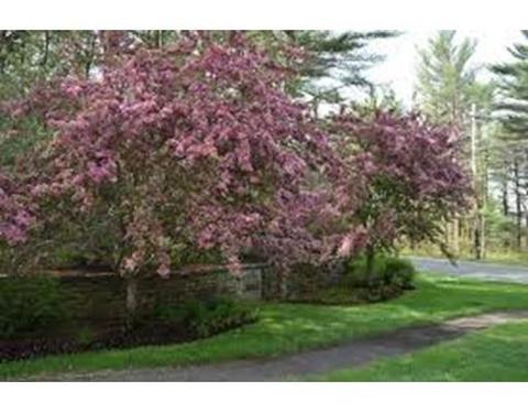 8 Pond Edge Trl, Wareham, MA 02571 photo 6