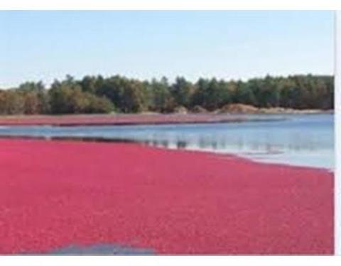 8 Pond Edge Trl, Wareham, MA 02571 photo 4