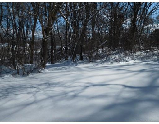 45 Whitmore Dr, Springfield, MA 01104 photo 4