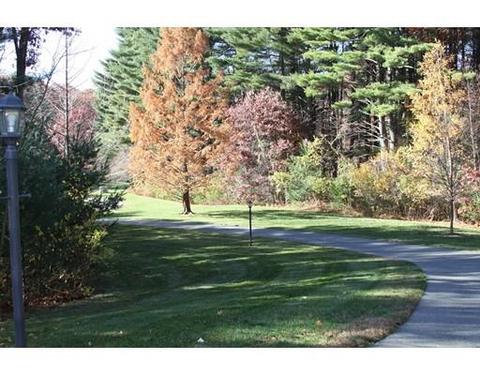 16 Warren Rd, Dedham, MA 02026 photo 3