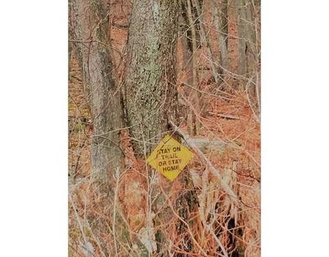 4 Westboro Rd, Upton, MA 01568 photo 9