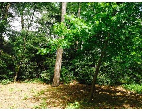 21 Sears Rd, Brookline, MA 02445 photo 2