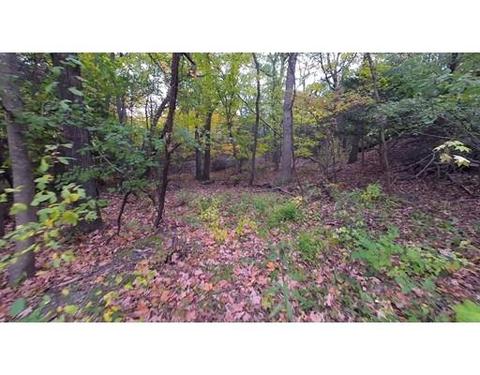 21 Sears Rd, Brookline, MA 02445 photo 7