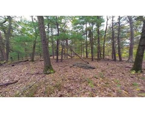 21 Sears Rd, Brookline, MA 02445 photo 8