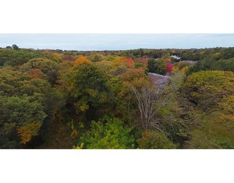 21 Sears Rd, Brookline, MA 02445 photo 6
