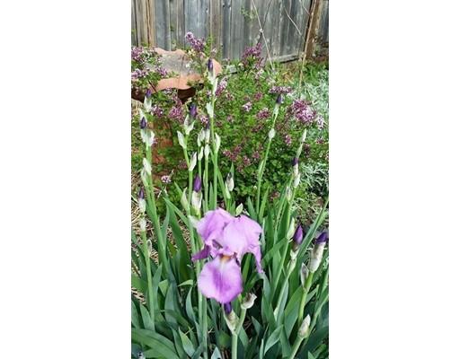 338 Abbott St, Springfield, MA 01118 photo 13