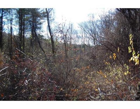 274 Pond St, Dunstable, MA 01827 photo 7