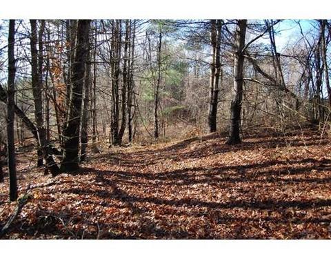 274 Pond St, Dunstable, MA 01827 photo 4