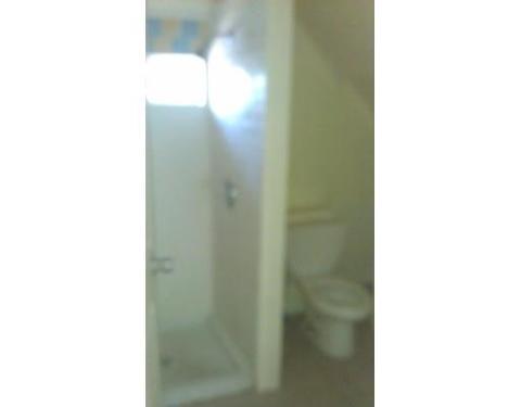 15 Berkeley St, Springfield, MA 01109 photo 5