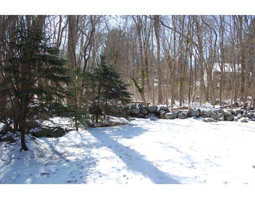21 Paul St, Canton, MA 02021 photo 24