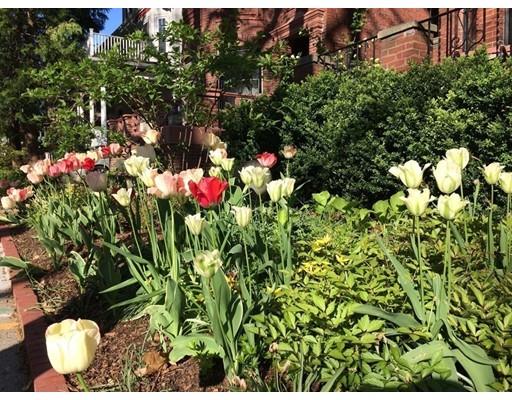 36 Beals St, Brookline, MA 02446 photo 18